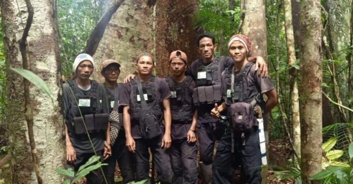 Indonésie : Contre l’industrie, Kalaweit rachète des forêts Indonésie : Contre l'industrie, Kalaweit rachète des forêts