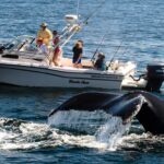 Tourisme animalier : l’envers colonial et spéciste du voyage