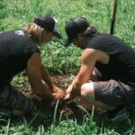 Savage Lands reforestation
