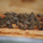 FB_IMG_1641631620032