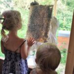 FB_IMG_1654669632335