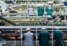 19 milliards : le coût caché de l’agroalimentaire français