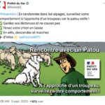 Capture d’écran 2025-08-26 à 11.27.56