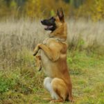 maria-merkulova-98u7lDd_HRQ-unsplash