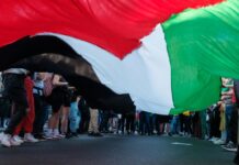 Pourquoi parle-t-on (autant) de Gaza en France ? Pourquoi parle-t-on (autant) de Gaza en France ?