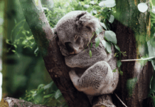 Cantine, vernis à ongle et endométriose : les 10 bonnes nouvelles de la semaine !