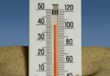 Chaleur, arrêts maladies et FNSEA : les 10 actus à ne pas manquer cette semaine !