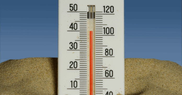 Chaleur, arrêts maladies et FNSEA : les 10 actus à ne pas manquer cette semaine !