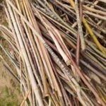 OSTIA cérémonie des bâtons