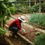 pexels-helenalopes-27176055