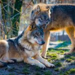 Image libre de droits – PickPik