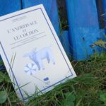 Pierre Rigaux L’Androsace et le cochon