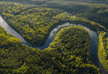 Amazonie, arrestations, et Lecornu : les 10 actu de la semaine