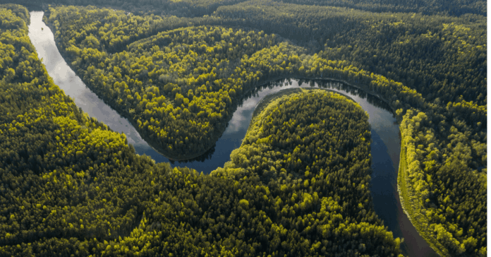 Amazonie, arrestations, et Lecornu : les 10 actu de la semaine
