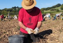 Terres menacées : Bouygues bétonne, les basques résistent Terres menacées : Bouygues bétonne, les basques résistent