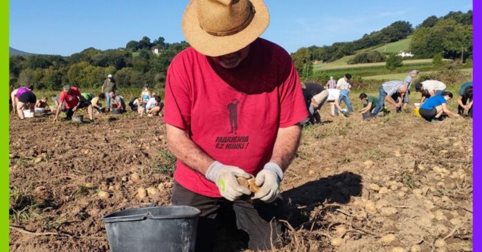 Terres menacées : Bouygues bétonne, les basques résistent Terres menacées : Bouygues bétonne, les basques résistent