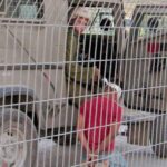 Israël : la prison au service de la colonisation en Palestine