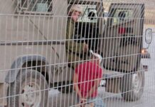 Prisons israéliennes : arme coloniale silencieuse en Palestine Israël : la prison au service de la colonisation en Palestine