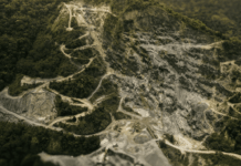 Déforestation, antibiotiques et licenciements : les 10 actualités de la semaine