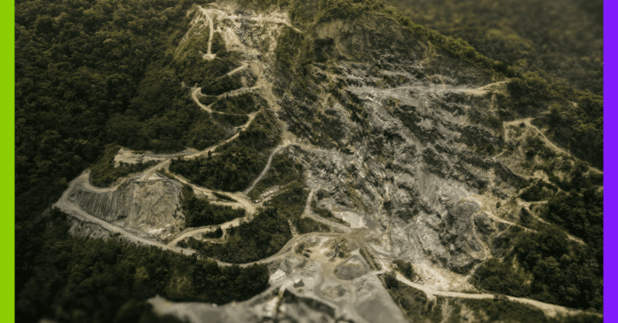 Déforestation, antibiotiques et licenciements : les 10 actualités de la semaine