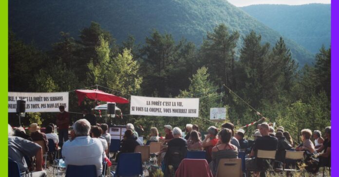 Hautes-Alpes : la forêt face à l’industrie photovoltaïque Hautes-Alpes : la forêt face à l’industrie photovoltaïque