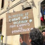 forêt de serigeons 2