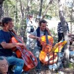 Forêt de serigeons animation 2