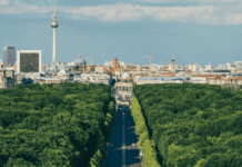 Paris-Berlin, requin et mangroves : les 10 bonnes nouvelles de la semaine