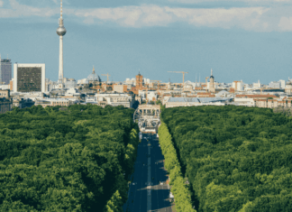 Paris-Berlin, requin et mangroves : les 10 bonnes nouvelles de la semaine
