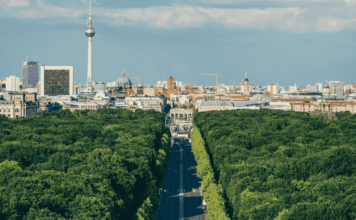 Paris-Berlin, requin et mangroves : les 10 bonnes nouvelles de la semaine