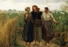 Mythe du « bon sens paysan » : la manipulation de l’extrême droite Mythe du “bon sens paysan” : la manipulation de l'extrême droite