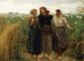 Mythe du « bon sens paysan » : la manipulation de l’extrême droite Mythe du “bon sens paysan” : la manipulation de l'extrême droite