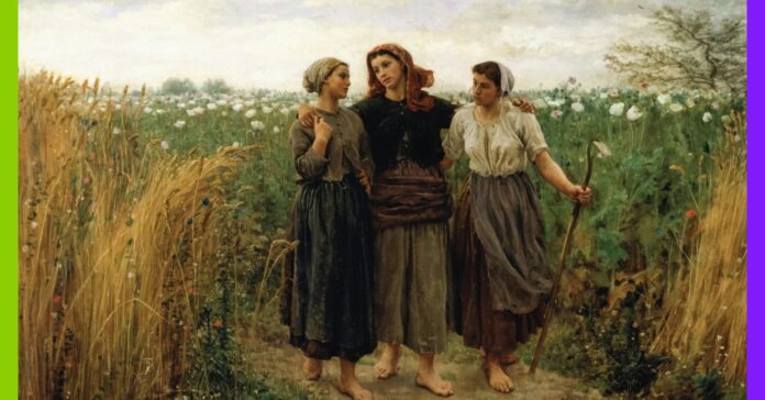 Mythe du « bon sens paysan » : la manipulation de l’extrême droite Mythe du “bon sens paysan” : la manipulation de l'extrême droite