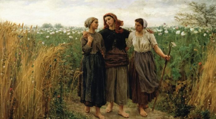 Mythe du « bon sens paysan » : la manipulation de l’extrême droite Mythe du “bon sens paysan” : la manipulation de l'extrême droite