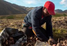 Climat, santé, biodiversité… Un institut trouve 71 solutions Biodiversité, climat, santé : les 71 solutions de l’IPBES