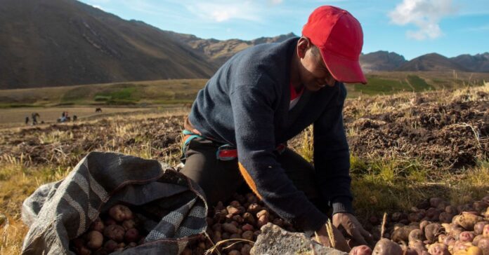 Climat, santé, biodiversité… Un institut trouve 71 solutions Biodiversité, climat, santé : les 71 solutions de l’IPBES