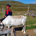 Par Harvey Barrison from Massapequa, NY, USA — Honningsvåg_2013 06 09_3460Uploaded by Arsenikk, CC BY-SA 2.0, https://commons.wikimedia.org/w/index.php?curid=29602208