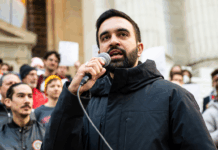 Mamdani, baisse de la déforestation et jeunes engagés : les 10 bonnes nouvelles de la semaine