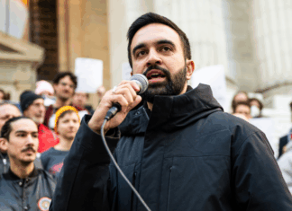 Mamdani, baisse de la déforestation et jeunes engagés : les 10 bonnes nouvelles de la semaine