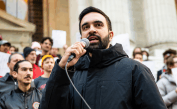 Mamdani, baisse de la déforestation et jeunes engagés : les 10 bonnes nouvelles de la semaine