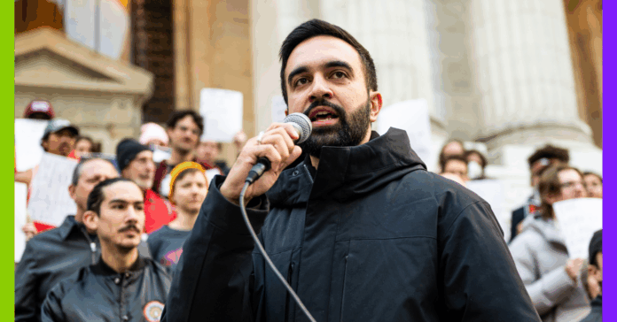 Mamdani, baisse de la déforestation et jeunes engagés : les 10 bonnes nouvelles de la semaine