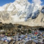 Avec toutes autorisations – sylwia-bartyzel