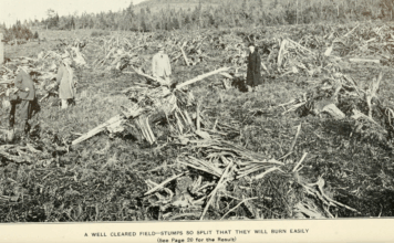 5 raisons d’en finir avec les monocultures 5 bonnes raisons d'en finir avec les monocultures