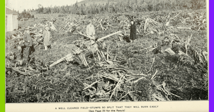 5 raisons d’en finir avec les monocultures 5 bonnes raisons d'en finir avec les monocultures