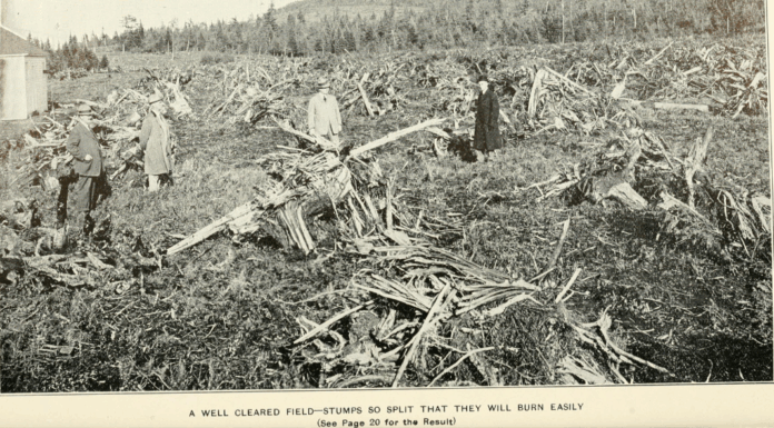 5 raisons d’en finir avec les monocultures 5 bonnes raisons d'en finir avec les monocultures