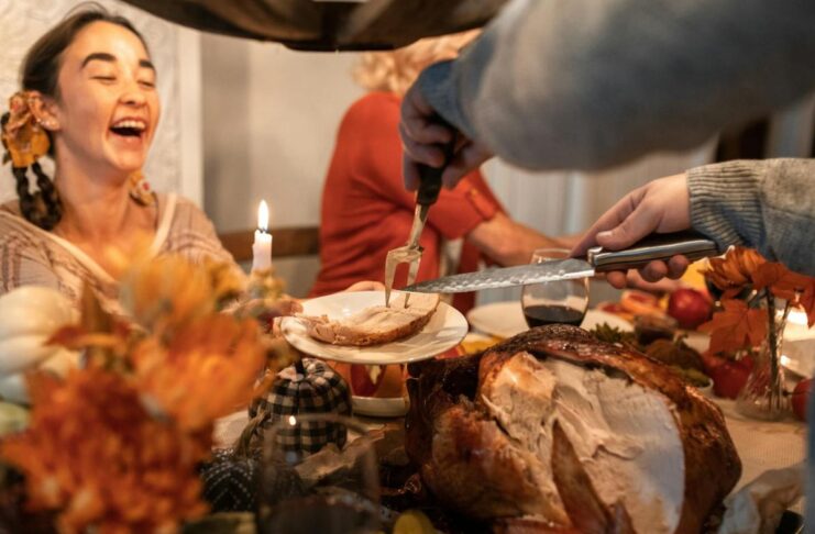 Fêtes de fin d’année : à quel prix pour les animaux ? Fêtes de fin d’année : à quel prix pour les animaux ?