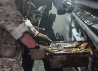 Pêcher à tout prix : les ravages d’un trafic mondial Pêcher à tout prix : les ravages d’un trafic mondial