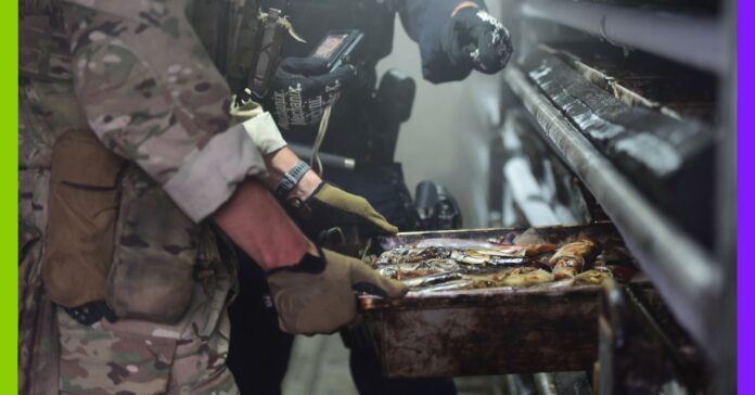 Pêcher à tout prix : les ravages d’un trafic mondial Pêcher à tout prix : les ravages d’un trafic mondial