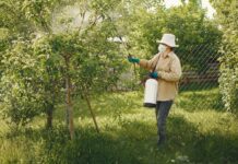 Pesticides interdits : en France, l’exportation continue Pesticides interdits : en France, l’exportation continue