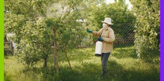 Pesticides interdits : en France, l’exportation continue Pesticides interdits : en France, l’exportation continue